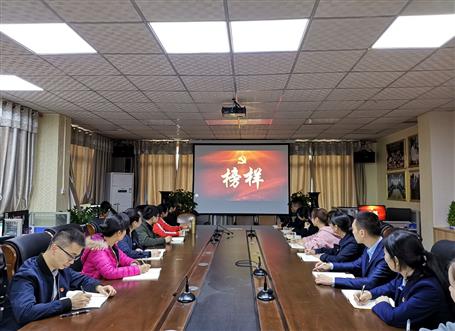 向榜樣看齊，做合格黨員